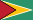 Guyana flag